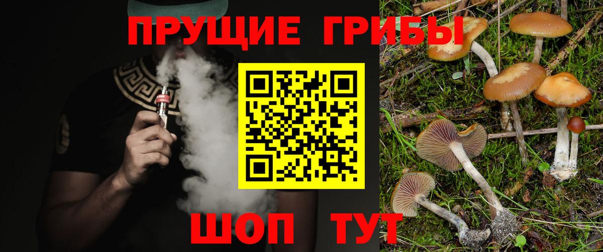 Галлюциногенные грибы GOLDEN TEACHER  Галлюциногенные грибы MAGIC MUSHROOMS  что такое наркотик  Бор  Вход с VPN 